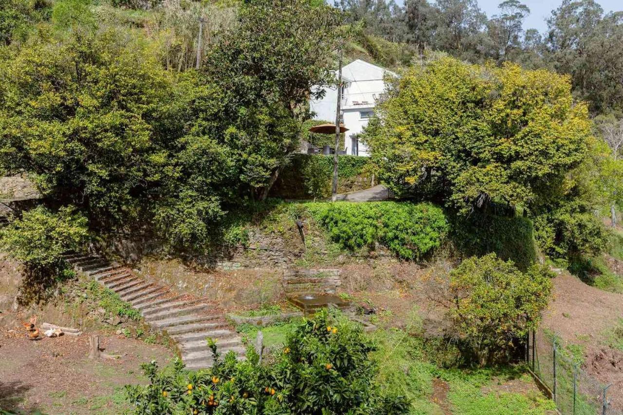 Quinta Da Agraceira Casa Do Caseiro Βίλα Νόβα ντε Γκάια Εξωτερικό φωτογραφία